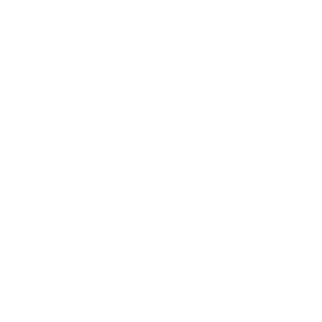 IX Rental